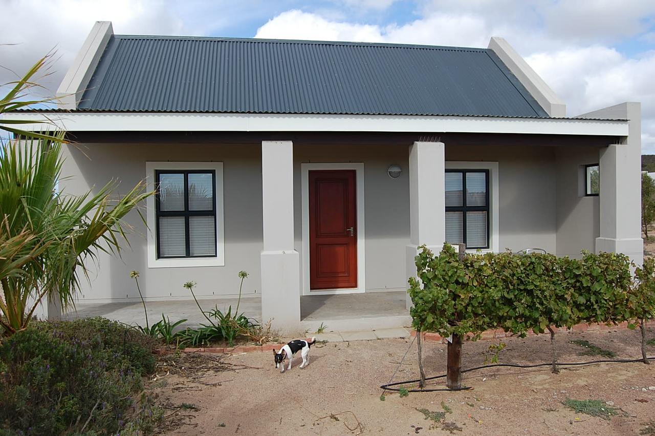 Longacre Olive & Vineyard Estate Guest House Langebaan Luaran gambar