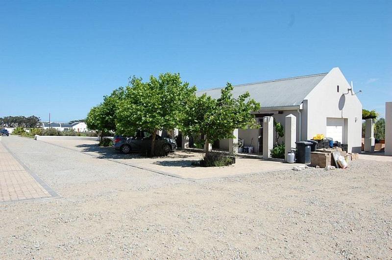 Longacre Olive & Vineyard Estate Guest House Langebaan Luaran gambar