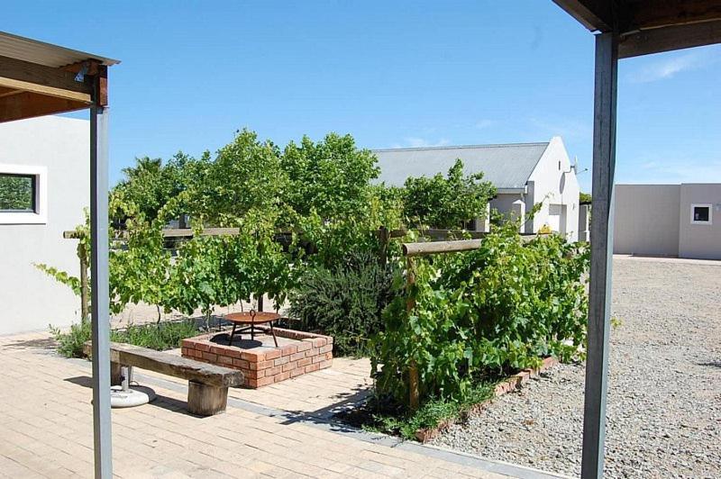 Longacre Olive & Vineyard Estate Guest House Langebaan Luaran gambar